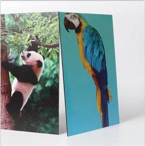 ACM Piblisite Komisyon Konsèy / tablo pou itilize deyò